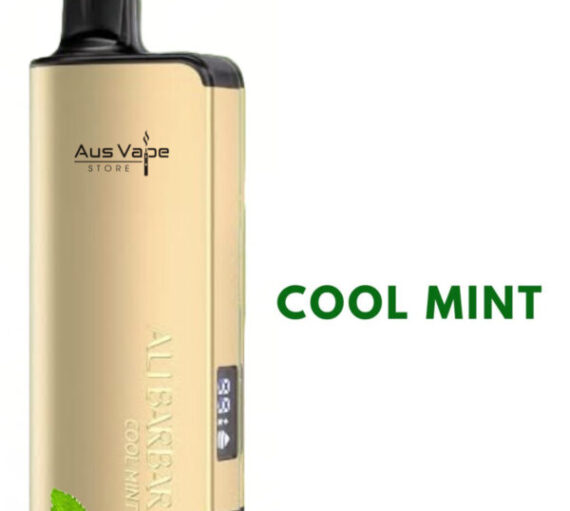 ALIBARBAR INGOT – COOL MINT – 9000 PUFFS