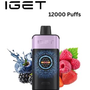 IGET ONE – MIX BERRIES ICE – 12000 PUFFS