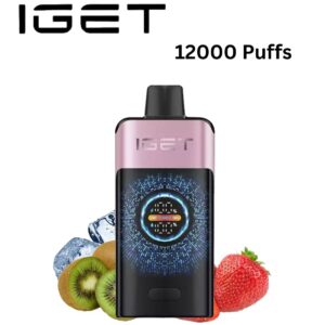 IGET ONE – STRAWBERRY KIWI ICE – 12000 PUFFS