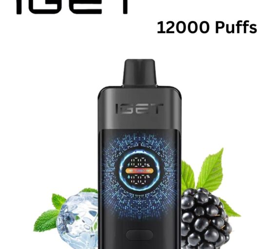 IGET ONE – BLACK FOREST – 12000 PUFFS