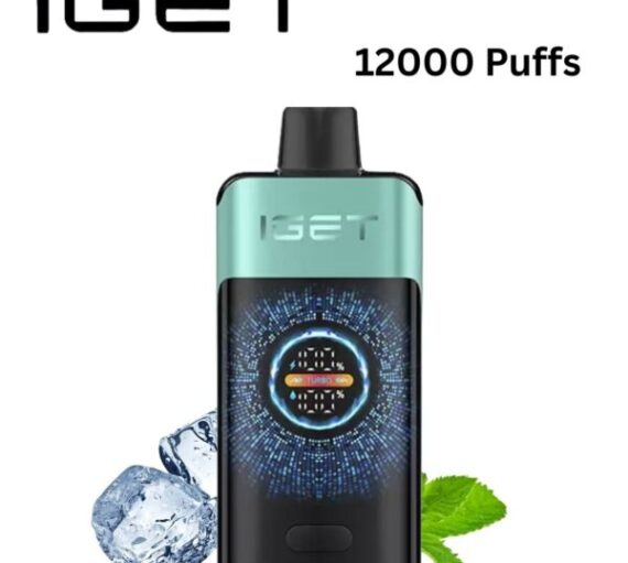 IGET ONE – MOUNTANT SPRING MINT ICE – 12000 PUFFS